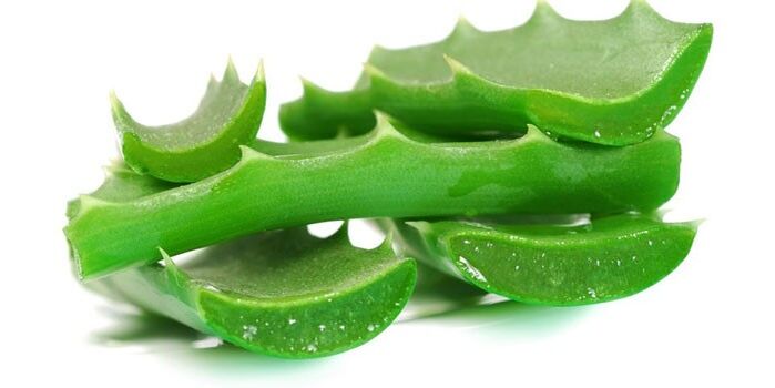 Aloe para o tratamento do fungo das uñas